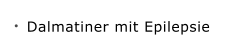 Dalmatiner mit Epilepsie