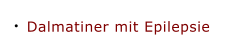 Dalmatiner mit Epilepsie