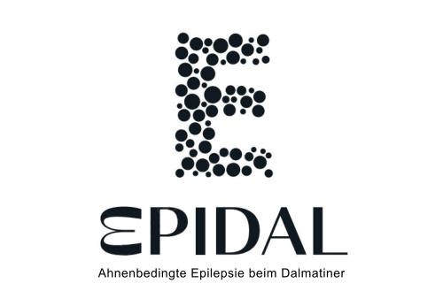 Ahnenbedingte Epilepsie beim Dalmatiner