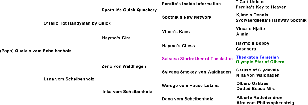 (Papa) Quelvin vom Scheibenholz OTalix Hot Handyman by Quick Spotniks Quick Quackery Haymos Gira Lana vom Scheibenholz Zeno von Waldhagen Inka vom Scheibenholz Spotniks New Network Vincas Kaos Haymos Chess Salsusa Startrekker of Theakston Sylvana Smokey von Waldhagen Warego vom Hause Lutzina Dana vom Scheibenholz Perditas Inside Information T-Cart Unicus Perditas Key to Heaven Kjimos Dennis Svolvaergaeitas Halfway Spotnik  Vincas Hjalte Aimini Haymos Bobby Casandra Theakston Tamerlan Olympic Star of Olbero Caruso of Clydevale Nina von Waldhagen Olbero Oaktree Dotted Beaus Mira Alberto Rododendron Afra vom Philosophensteig