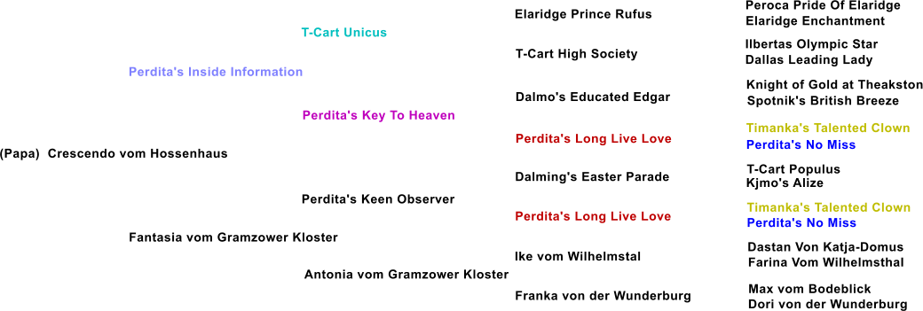 (Papa)  Crescendo vom Hossenhaus  Perdita's Inside Information T-Cart Unicus Perdita's Key To Heaven Fantasia vom Gramzower Kloster Perdita's Keen Observer Antonia vom Gramzower Kloster T-Cart High Society Dalmo's Educated Edgar Perdita's Long Live Love Dalming's Easter Parade Perdita's Long Live Love Ike vom Wilhelmstal Franka von der Wunderburg Elaridge Prince Rufus Peroca Pride Of Elaridge Elaridge Enchantment Ilbertas Olympic Star Dallas Leading Lady   Knight of Gold at Theakston Spotnik's British Breeze  Timanka's Talented Clown  Perdita's No Miss T-Cart Populus  Kjmo's Alize Timanka's Talented Clown Perdita's No Miss Dastan Von Katja-Domus Farina Vom Wilhelmsthal Max vom Bodeblick 	 Dori von der Wunderburg