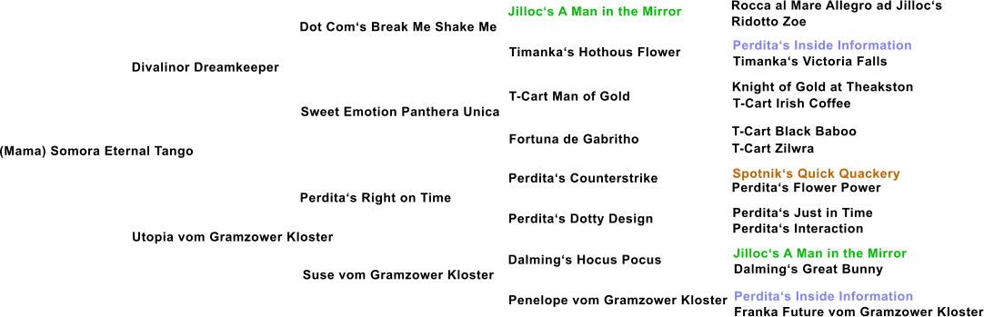 (Mama) Somora Eternal Tango Divalinor Dreamkeeper Dot Coms Break Me Shake Me Sweet Emotion Panthera Unica Utopia vom Gramzower Kloster Perditas Right on Time Suse vom Gramzower Kloster Timankas Hothous Flower T-Cart Man of Gold Fortuna de Gabritho Perditas Counterstrike Perditas Dotty Design Dalmings Hocus Pocus Penelope vom Gramzower Kloster Jillocs A Man in the Mirror Rocca al Mare Allegro ad Jillocs Ridotto Zoe  Perditas Inside Information Timankas Victoria Falls Knight of Gold at Theakston T-Cart Irish Coffee T-Cart Black Baboo T-Cart Zilwra Spotniks Quick Quackery Perditas Flower Power Perditas Just in Time Perditas Interaction Jillocs A Man in the Mirror Dalmings Great Bunny Perditas Inside Information Franka Future vom Gramzower Kloster