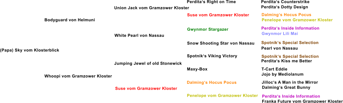 Bodyguard von Helmuni Union Jack vom Gramzower Kloster White Pearl von Nassau Whoopi vom Gramzower Kloster Jumping Jewel of old Stonewick Suse vom Gramzower Kloster Suse vom Gramzower Kloster Gwynmor Stargazer Snow Shooting Star von Nassau Spotniks Viking Victory Maxy-Box Dalmings Hocus Pocus Penelope vom Gramzower Kloster Perditas Right on Time Perditas Counterstrike Perditas Dotty Design Dalmings Hocus Pocus Penelope vom Gramzower Kloster Perditas Inside Information Gwynmor Lili Mai Spotniks Special Selection Pearl von Nassau Spotniks Special Selection Perditas Kiss me Better T-Cart Eddie Jojo by Mediolanum Jillocs A Man in the Mirror Dalmings Great Bunny Perditas Inside Information Franka Future vom Gramzower Kloster (Papa) Sky vom Klosterblick