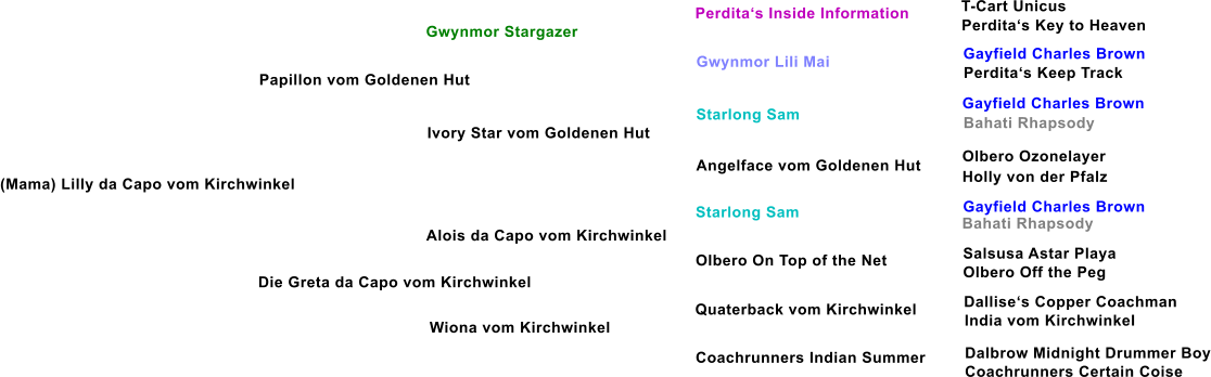 Papillon vom Goldenen Hut Gwynmor Stargazer Ivory Star vom Goldenen Hut Die Greta da Capo vom Kirchwinkel Alois da Capo vom Kirchwinkel Wiona vom Kirchwinkel Gwynmor Lili Mai Starlong Sam Angelface vom Goldenen Hut Starlong Sam Olbero On Top of the Net Quaterback vom Kirchwinkel Coachrunners Indian Summer Perditas Inside Information T-Cart Unicus Perditas Key to Heaven Gayfield Charles Brown Perditas Keep Track Gayfield Charles Brown Bahati Rhapsody Olbero Ozonelayer Holly von der Pfalz Gayfield Charles Brown Bahati Rhapsody Salsusa Astar Playa Olbero Off the Peg Dallises Copper Coachman India vom Kirchwinkel Dalbrow Midnight Drummer Boy Coachrunners Certain Coise (Mama) Lilly da Capo vom Kirchwinkel