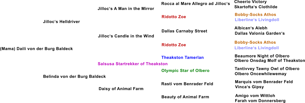 (Mama) Daili von der Burg Baldeck Jillocs Helldriver Jillocs A Man in the Mirror Jillocs Candle in the Wind Belinda von der Burg Baldeck Salsusa Startrekker of Theakston Daisy of Animal Farm Ridotto Zoe Dallas Carnaby Street Ridotto Zoe Theakston Tamerlan Olympic Star of Olbero Rasti vom Benrader Feld Beauty of Animal Farm Rocca al Mare Allegro ad Jillocs Cheerio Victory Skartoftas Clothilde Bobby-Socks Athos Liberlines Livingdoll Albicans Alebh Dallas Valonia Gardens Bobby-Socks Athos Liberlines Livingdoll Beaumore Night of Olbero Olbero Onsdag Molf of Theakston Tantivvey Tawny Owl of Olbero Olbero Oncewhilewemay Marquis vom Benrader Feld Vincas Gipsy Amigo vom Wittloh Farah vom Donnersberg