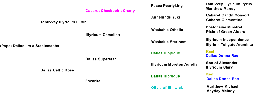 (Papa) Dallas Im a Stablemaster Tantivvey Illyricum Lubin Cabaret Checkpoint Charly Illyricum Camelina Dallas Celtic Rose Dallas Superstar Favorita Annelunds Yuki Washakie Othello Washakie Starloom Dallas Hippique Illyricum Moreton Aurelia Dallas Hippique Olivia of Elmwick Pasea Pearlyking Tantivvey Illyricum Pyrus Marithew Mandy Cabaret Candit Consort Cabaret Clementine Postchaise Minstrel Pixie of Green Alders Illyricum Independence Illyrium Tollgate Araminta Keef Dallas Donna Rae Son of Alexander Illyricum Clary Kief Dallas Donna Rae Marithew Michael Mayday Melody