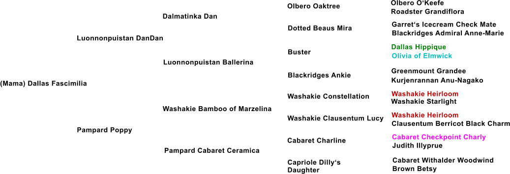 (Mama) Dallas Fascimilia Luonnonpuistan DanDan Dalmatinka Dan Luonnonpuistan Ballerina Pampard Poppy Washakie Bamboo of Marzelina Pampard Cabaret Ceramica Dotted Beaus Mira Buster Blackridges Ankie Washakie Constellation Washakie Clausentum Lucy Cabaret Charline Capriole Dillys Daughter Olbero Oaktree Olbero OKeefe Roadster Grandiflora Garrets Icecream Check Mate Blackridges Admiral Anne-Marie Dallas Hippique Olivia of Elmwick Greenmount Grandee Kurjenrannan Anu-Nagako Washakie Heirloom Washakie Starlight Washakie Heirloom Clausentum Berricot Black Charm Cabaret Checkpoint Charly Judith Illyprue Cabaret Withalder Woodwind Brown Betsy