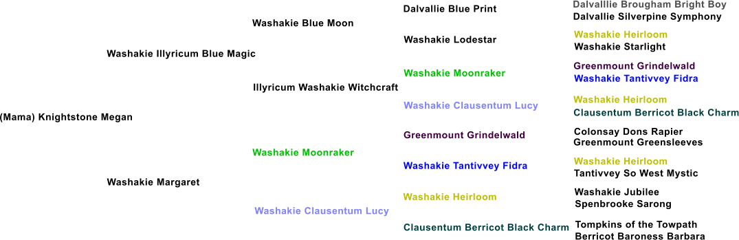 (Mama) Knightstone Megan Washakie Illyricum Blue Magic Washakie Blue Moon Illyricum Washakie Witchcraft Washakie Margaret Washakie Moonraker Washakie Clausentum Lucy Washakie Lodestar Washakie Moonraker Washakie Clausentum Lucy Greenmount Grindelwald Washakie Tantivvey Fidra Washakie Heirloom Clausentum Berricot Black Charm Dalvallie Blue Print Dalvalllie Brougham Bright Boy Dalvallie Silverpine Symphony Washakie Heirloom Washakie Starlight Greenmount Grindelwald Washakie Tantivvey Fidra Washakie Heirloom Clausentum Berricot Black Charm Colonsay Dons Rapier Greenmount Greensleeves Washakie Heirloom Tantivvey So West Mystic Washakie Jubilee Spenbrooke Sarong Tompkins of the Towpath Berricot Baroness Barbara