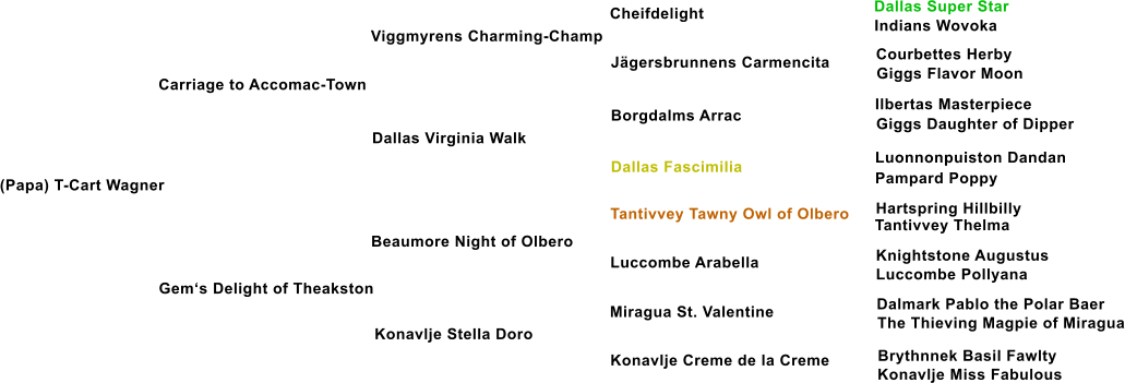 (Papa) T-Cart Wagner Carriage to Accomac-Town Viggmyrens Charming-Champ Dallas Virginia Walk Gems Delight of Theakston Beaumore Night of Olbero Konavlje Stella Doro Jgersbrunnens Carmencita Borgdalms Arrac Dallas Fascimilia Tantivvey Tawny Owl of Olbero Luccombe Arabella Miragua St. Valentine Konavlje Creme de la Creme Cheifdelight Dallas Super Star Indians Wovoka Courbettes Herby Giggs Flavor Moon Ilbertas Masterpiece Giggs Daughter of Dipper Luonnonpuiston Dandan Pampard Poppy Hartspring Hillbilly Tantivvey Thelma Knightstone Augustus Luccombe Pollyana Dalmark Pablo the Polar Baer The Thieving Magpie of Miragua Brythnnek Basil Fawlty Konavlje Miss Fabulous