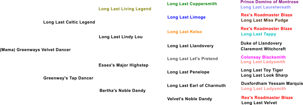 (Mama) Greenways Velvet Dancer Long Last Celtic Legend Long Last Living Legend Long Last Lindy Lou Greenway's Tap Dancer Essex's Major Highstep Bertha's Noble Dandy Long Last Limoge Long Last Kelso Long Last Llandovery Long Last Let's Pretend Long Last Penelope Long Last Earl of Charmuth Velvet's Noble Dandy Long Last Coppersmith Prince Domino of Montrose Long Last Laurelwreath  Rex's Roadmaster Blaze Long Last Miss Pudge Rex's Roadmaster Blaze Long Last Tappy Duke of Llandovery Claremont Witchcraft Colonsay Blacksmith Long Last Ladysmith Long Last Toy Tiger Long Last Look Sharp Duxfordham Yessam Marquis Long Last Ladysmith Rex's Roadmaster Blaze Long Last Velvet
