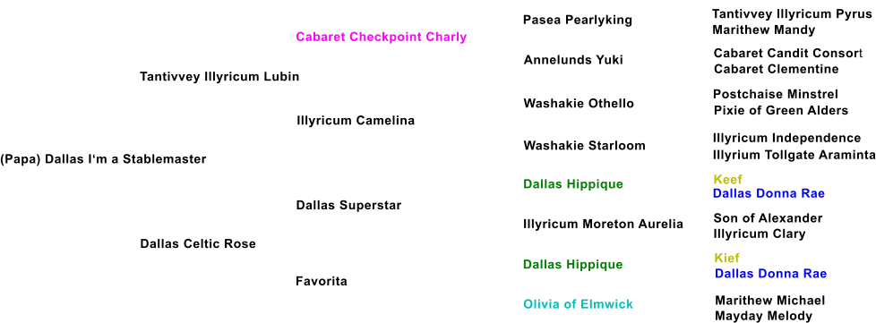 (Papa) Dallas I�m a Stablemaster Tantivvey Illyricum Lubin Cabaret Checkpoint Charly Illyricum Camelina Dallas Celtic Rose Dallas Superstar Favorita Annelunds Yuki Washakie Othello Washakie Starloom Dallas Hippique Illyricum Moreton Aurelia Dallas Hippique Olivia of Elmwick Pasea Pearlyking Tantivvey Illyricum Pyrus Marithew Mandy Cabaret Candit Consort Cabaret Clementine Postchaise Minstrel Pixie of Green Alders Illyricum Independence Illyrium Tollgate Araminta Keef Dallas Donna Rae Son of Alexander Illyricum Clary Kief Dallas Donna Rae Marithew Michael Mayday Melody