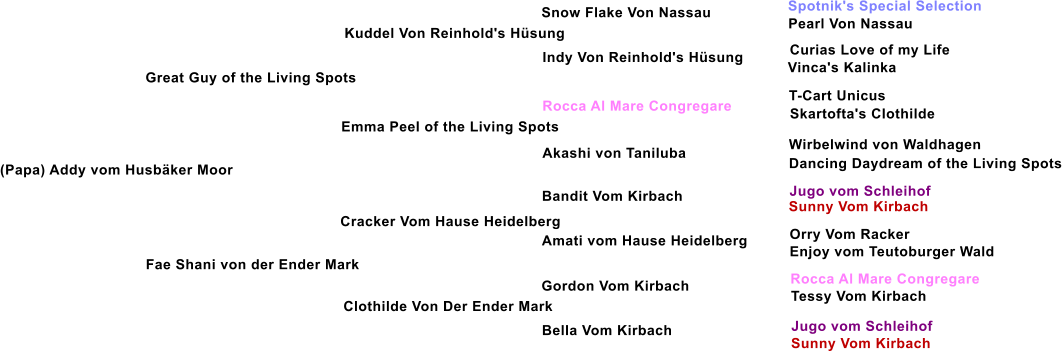 (Papa) Addy vom Husb�ker Moor  Great Guy of the Living Spots   Kuddel Von Reinhold's H�sung Emma Peel of the Living Spots Fae Shani von der Ender Mark Cracker Vom Hause Heidelberg Clothilde Von Der Ender Mark Indy Von Reinhold's H�sung  Rocca Al Mare Congregare Akashi von Taniluba Bandit Vom Kirbach Amati vom Hause Heidelberg Gordon Vom Kirbach Bella Vom Kirbach Snow Flake Von Nassau Spotnik's Special Selection Pearl Von Nassau Curias Love of my Life Vinca's Kalinka T-Cart Unicus Skartofta's Clothilde Wirbelwind von Waldhagen Dancing Daydream of the Living Spots Jugo vom Schleihof Sunny Vom Kirbach Orry Vom Racker Enjoy vom Teutoburger Wald Rocca Al Mare Congregare Tessy Vom Kirbach Jugo vom Schleihof Sunny Vom Kirbach