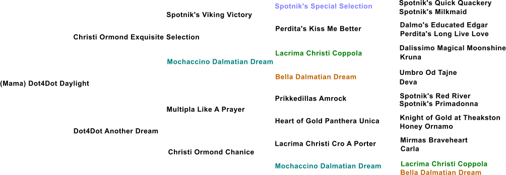 (Mama) Dot4Dot Daylight Christi Ormond Exquisite Selection Spotnik's Viking Victory Mochaccino Dalmatian Dream Dot4Dot Another Dream Multipla Like A Prayer Christi Ormond Chanice Perdita's Kiss Me Better Lacrima Christi Coppola Bella Dalmatian Dream Prikkedillas Amrock Heart of Gold Panthera Unica Lacrima Christi Cro A Porter Mochaccino Dalmatian Dream Spotnik's Special Selection Spotnik's Quick Quackery Spotnik's Milkmaid Dalmo's Educated Edgar Perdita's Long Live Love Dalissimo Magical Moonshine Kruna Umbro Od Tajne Deva Spotnik's Red River  Spotnik's Primadonna Knight of Gold at Theakston Honey Ornamo Mirmas Braveheart Carla Lacrima Christi Coppola Bella Dalmatian Dream