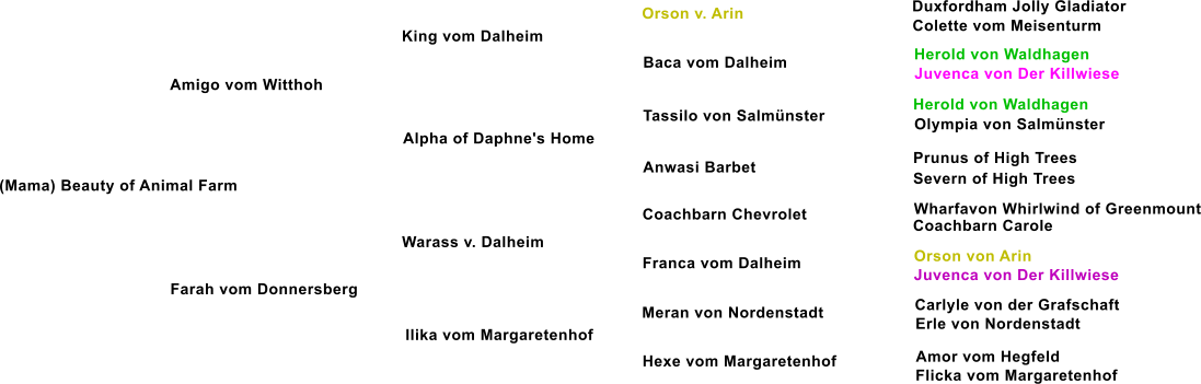 (Mama) Beauty of Animal Farm Amigo vom Witthoh King vom Dalheim Alpha of Daphne's Home Farah vom Donnersberg Warass v. Dalheim Ilika vom Margaretenhof Baca vom Dalheim Tassilo von Salm�nster Anwasi Barbet Coachbarn Chevrolet  Franca vom Dalheim Meran von Nordenstadt Hexe vom Margaretenhof Orson v. Arin Duxfordham Jolly Gladiator Colette vom Meisenturm Herold von Waldhagen Juvenca von Der Killwiese Herold von Waldhagen Olympia von Salm�nster Prunus of High Trees Severn of High Trees Wharfavon Whirlwind of Greenmount Coachbarn Carole Orson von Arin Juvenca von Der Killwiese Carlyle von der Grafschaft Erle von Nordenstadt Amor vom Hegfeld Flicka vom Margaretenhof