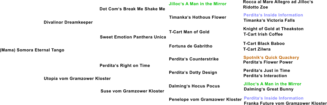 (Mama) Somora Eternal Tango Divalinor Dreamkeeper Dot Com�s Break Me Shake Me Sweet Emotion Panthera Unica Utopia vom Gramzower Kloster Perdita�s Right on Time Suse vom Gramzower Kloster Timanka�s Hothous Flower T-Cart Man of Gold Fortuna de Gabritho Perdita�s Counterstrike Perdita�s Dotty Design Dalming�s Hocus Pocus Penelope vom Gramzower Kloster Jilloc�s A Man in the Mirror Rocca al Mare Allegro ad Jilloc�s Ridotto Zoe  Perdita�s Inside Information Timanka�s Victoria Falls Knight of Gold at Theakston T-Cart Irish Coffee T-Cart Black Baboo T-Cart Zilwra Spotnik�s Quick Quackery Perdita�s Flower Power Perdita�s Just in Time Perdita�s Interaction Jilloc�s A Man in the Mirror Dalming�s Great Bunny Perdita�s Inside Information Franka Future vom Gramzower Kloster